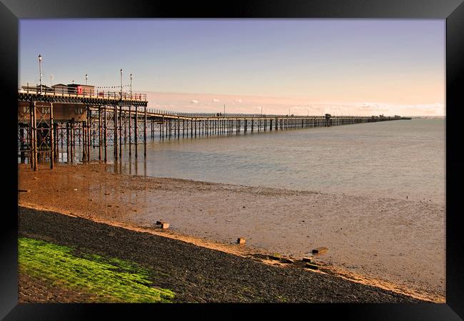 Southend on Sea Pier and Beach Essex Framed Print by Andy Evans Photos