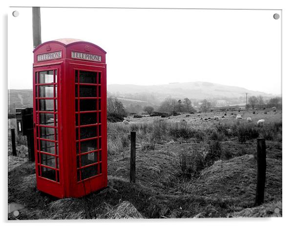 Phone box in Wales Acrylic by Craig Bottomley