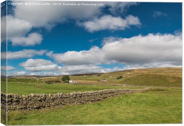 Harwood, Upper Teesdale, from Marshes Gill, VPano Canvas Print by Richard Laidler