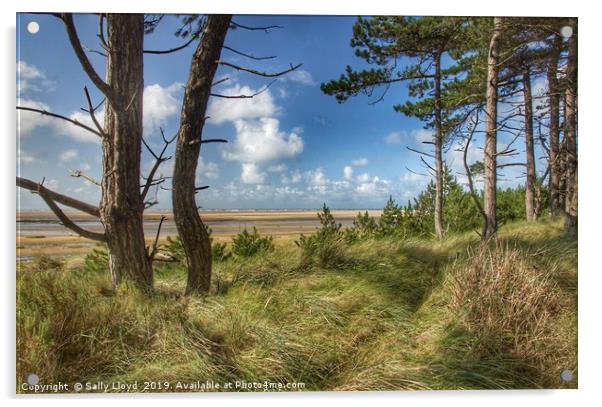 Pine View East Hills Norfolk Acrylic by Sally Lloyd