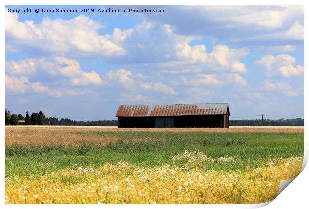 Summer  Country Landscape  Print by Taina Sohlman