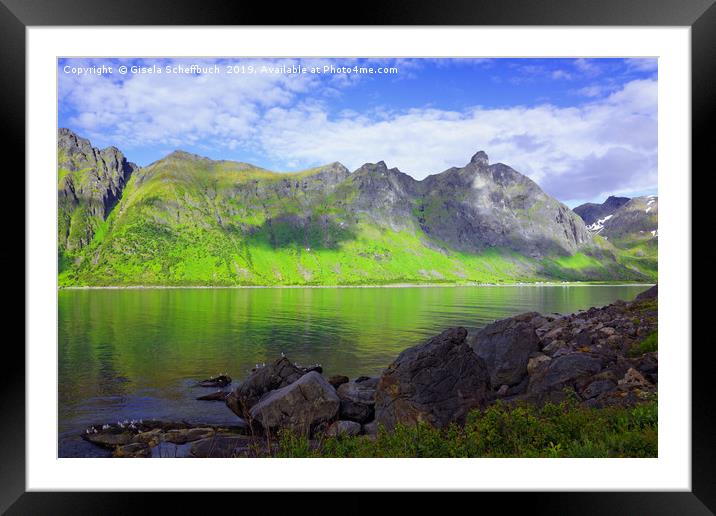 Panoramic View on the Island of Senja Framed Mounted Print by Gisela Scheffbuch