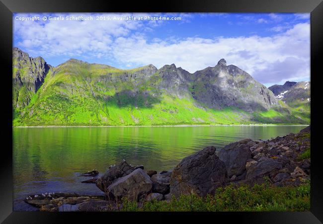 Panoramic View on the Island of Senja Framed Print by Gisela Scheffbuch