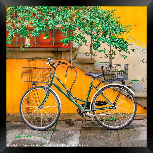 Bicycle Parked at Wall, Lucca, Italy Framed Print by Daniel Ferreira-Leite