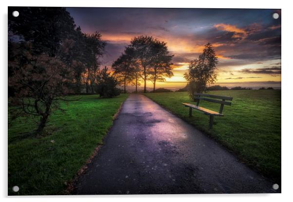 Ravenhill park sunset Acrylic by Leighton Collins