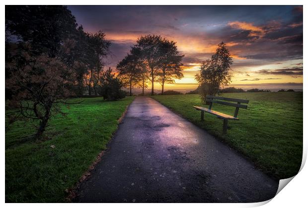 Ravenhill park sunset Print by Leighton Collins