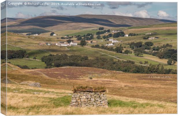 Forest in Teesdale from Holwick Fell 1 Canvas Print by Richard Laidler