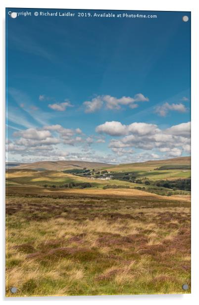 Forest in Teesdale from Holwick Fell 2 Acrylic by Richard Laidler