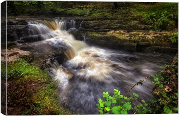 River Neath in Waterfall Country Canvas Print by Leighton Collins