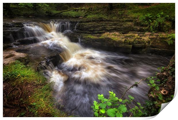 River Neath in Waterfall Country Print by Leighton Collins