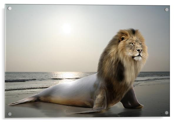 Sea-Lion Acrylic by Julie Hoddinott