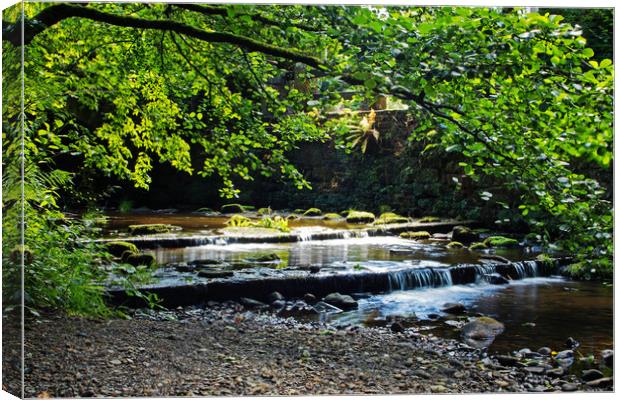 Wycoller Beck downstream Canvas Print by David McCulloch