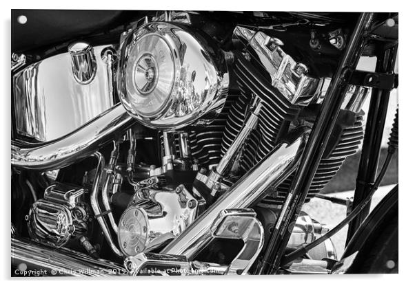 Harley Acrylic by Chris Willman