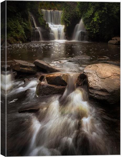 Penllergare Woods waterfall Canvas Print by Leighton Collins