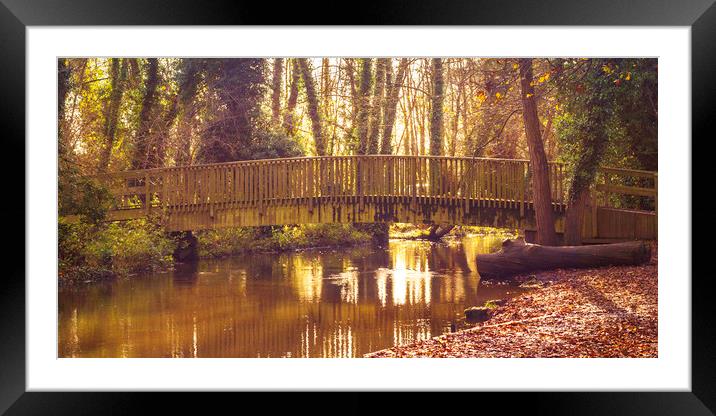 Delicate Bridge Framed Mounted Print by Peter Smith