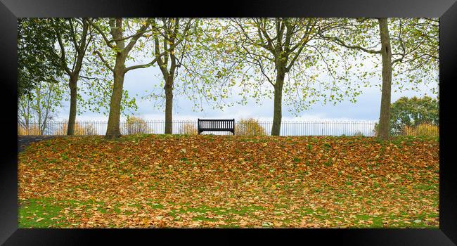 Solitary bench in an autumnal park  Framed Print by Peter Smith