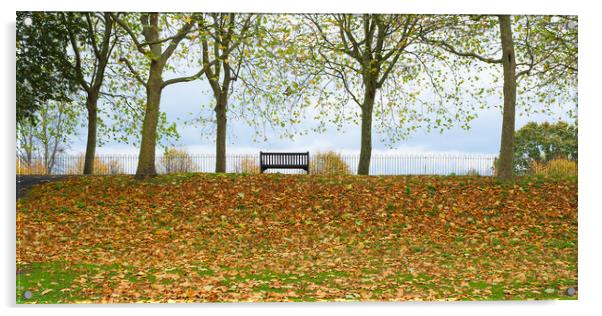 Solitary bench in an autumnal park  Acrylic by Peter Smith