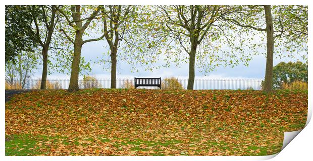 Solitary bench in an autumnal park  Print by Peter Smith
