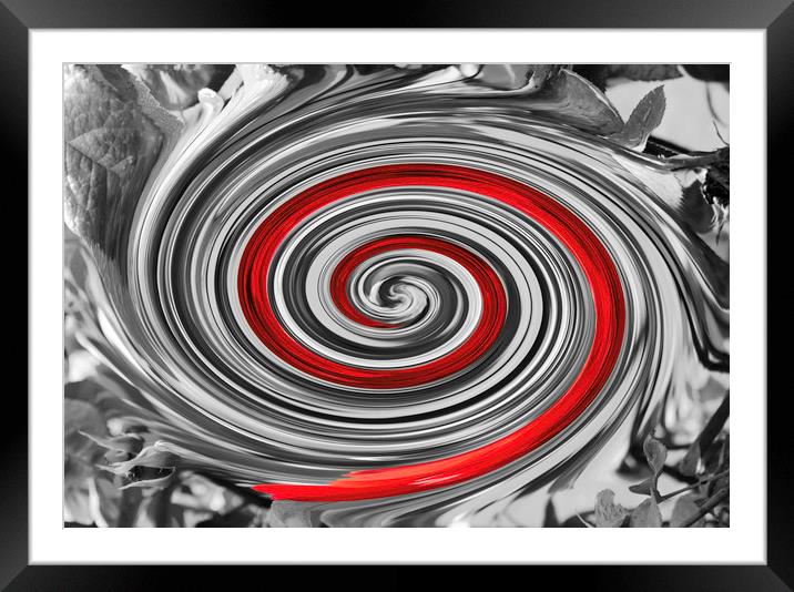 Valentine Twirl - deepening spiral of love Framed Mounted Print by Peter Smith