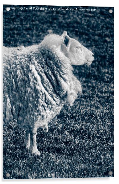 Noble Sheep, Portrait, England, UK  Acrylic by Bernd Tschakert