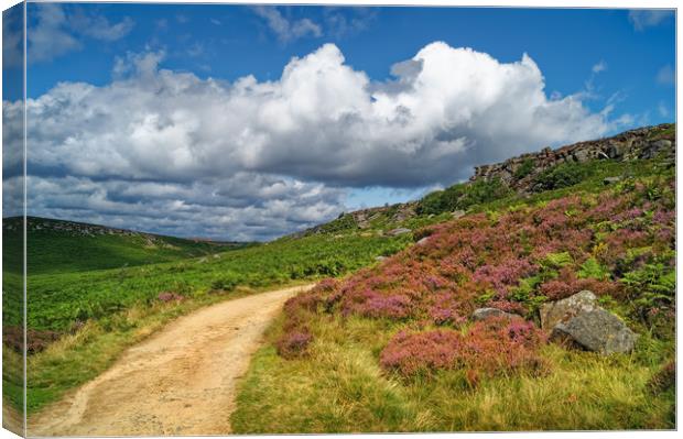 Burbage Valley                        Canvas Print by Darren Galpin