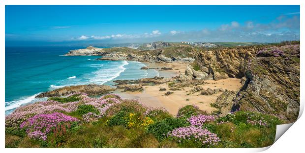 Newquay coast Print by Andrew Michael