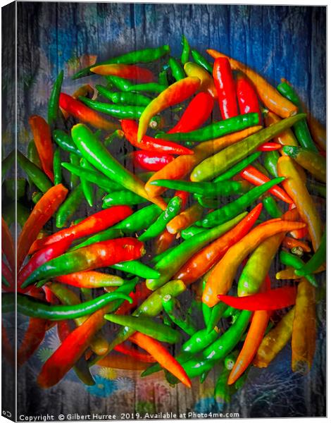 Fiery Thai Finger Chillies Canvas Print by Gilbert Hurree
