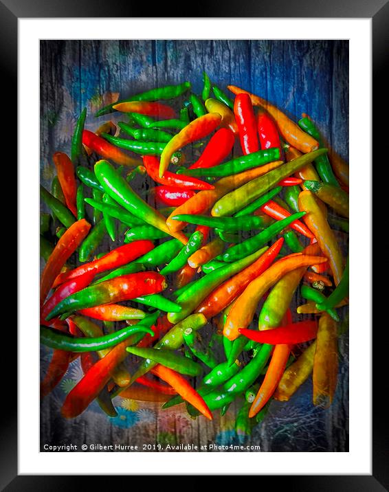 Fiery Thai Finger Chillies Framed Mounted Print by Gilbert Hurree