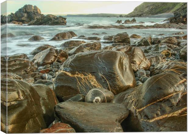 Wet Rocks Canvas Print by Dave Bell