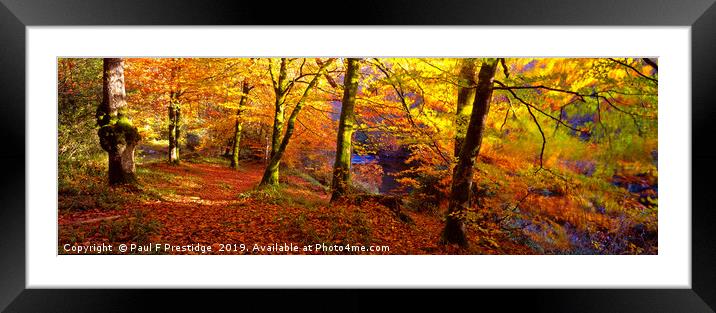Autumnal Splendor at Spitchwick Framed Mounted Print by Paul F Prestidge