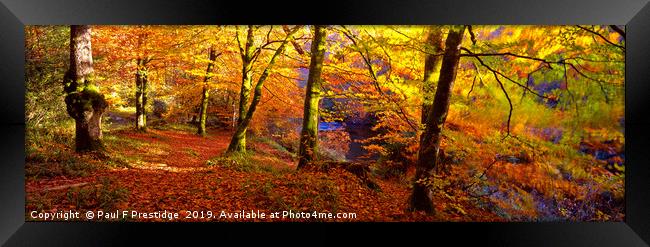 Autumnal Splendor at Spitchwick Framed Print by Paul F Prestidge