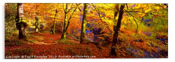 Autumnal Splendor at Spitchwick Acrylic by Paul F Prestidge