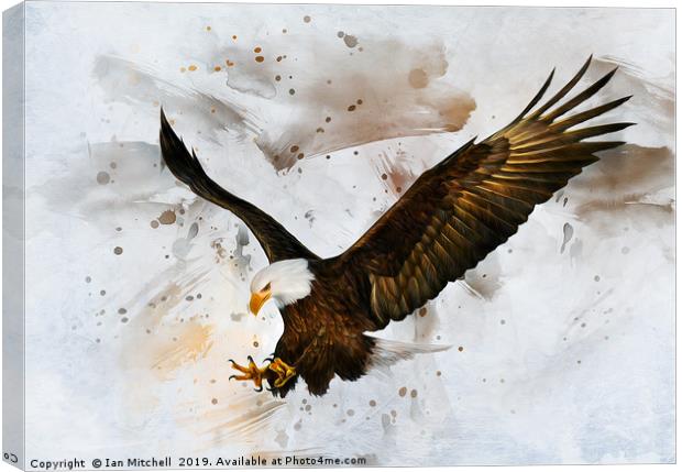 Voice of The Eagle Canvas Print by Ian Mitchell