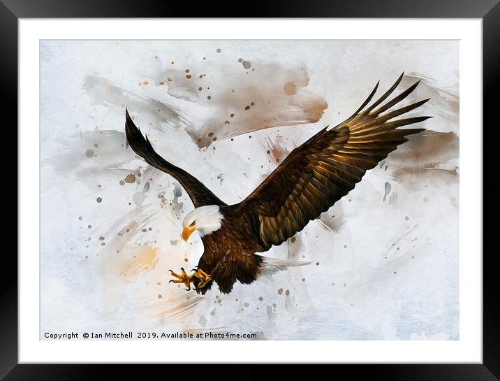 Voice of The Eagle Framed Mounted Print by Ian Mitchell