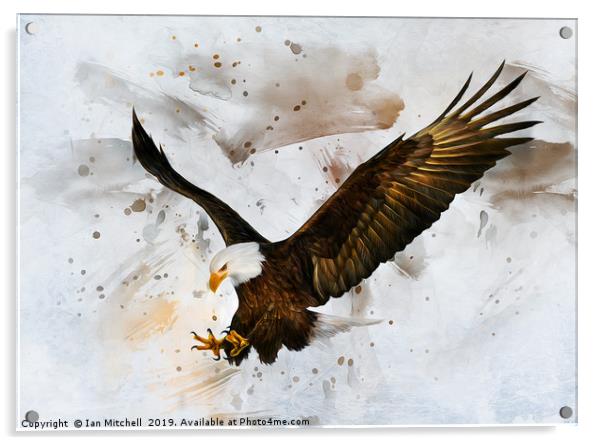 Voice of The Eagle Acrylic by Ian Mitchell