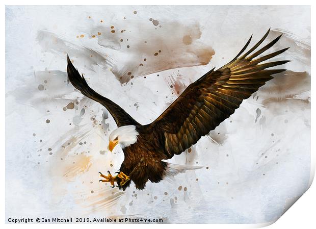 Voice of The Eagle Print by Ian Mitchell