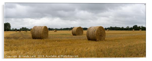 Farming France Acrylic by DiFigiano Photography