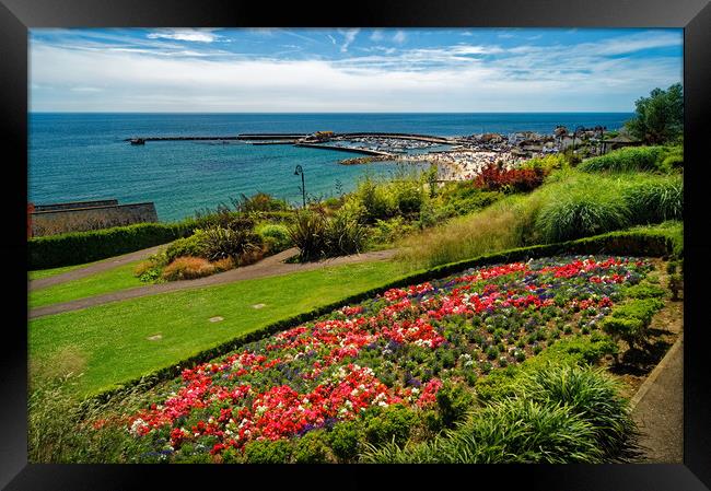 Langmoor Gardens, Lyme regis                      Framed Print by Darren Galpin