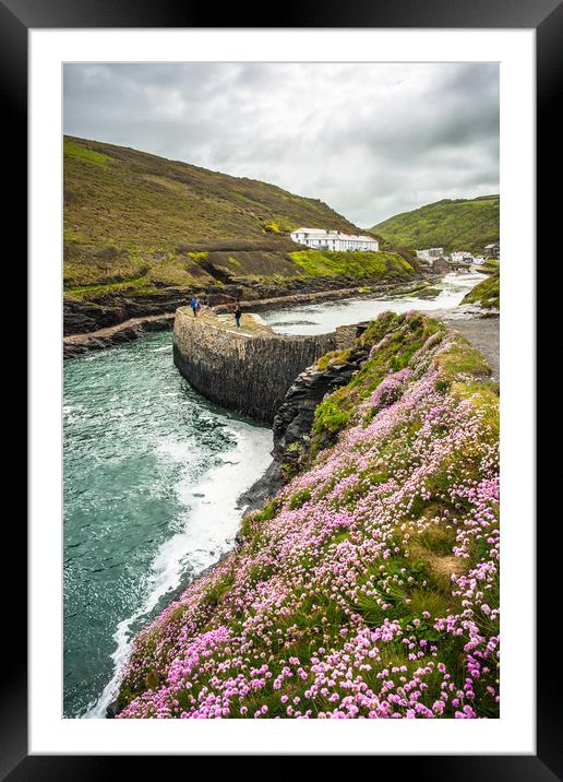 Boscastle Spring time Framed Mounted Print by Andrew Michael