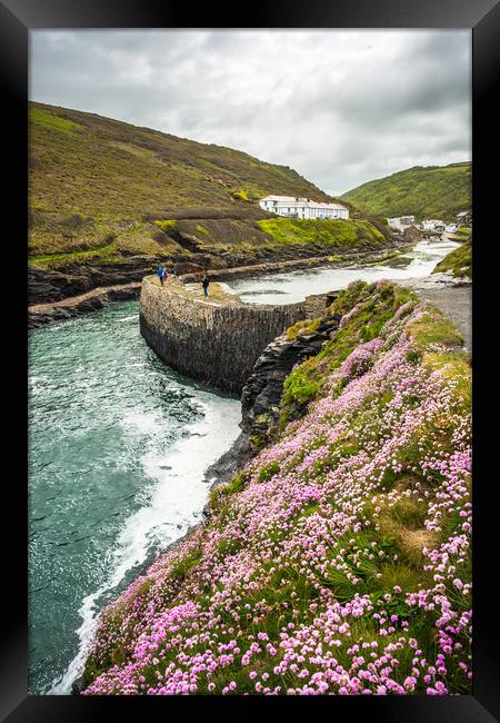 Boscastle Spring time Framed Print by Andrew Michael