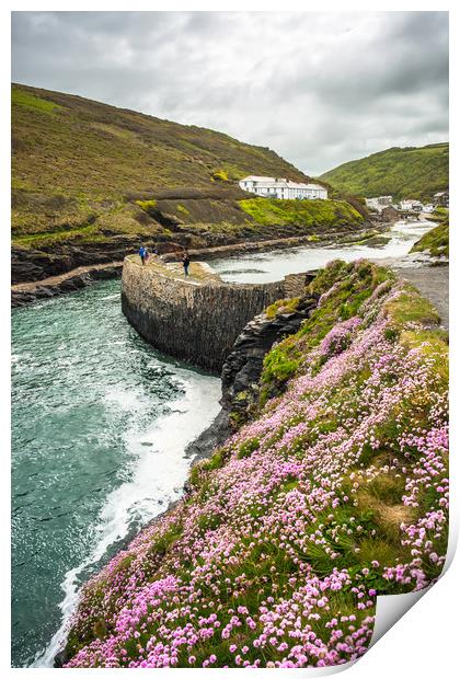 Boscastle Spring time Print by Andrew Michael