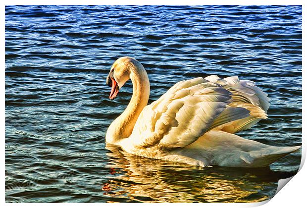 Golden Swan Print by Anthony Michael 