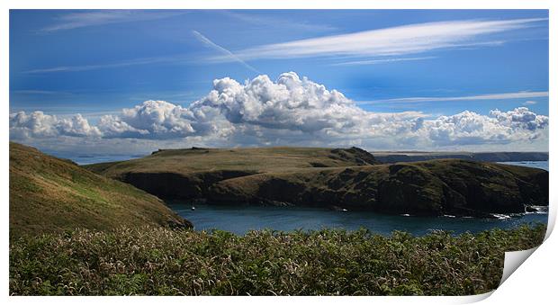 View Over Skomer Print by Julie Hoddinott