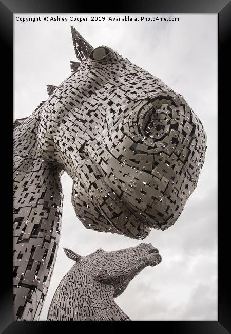 The Kelpies. Framed Print by Ashley Cooper