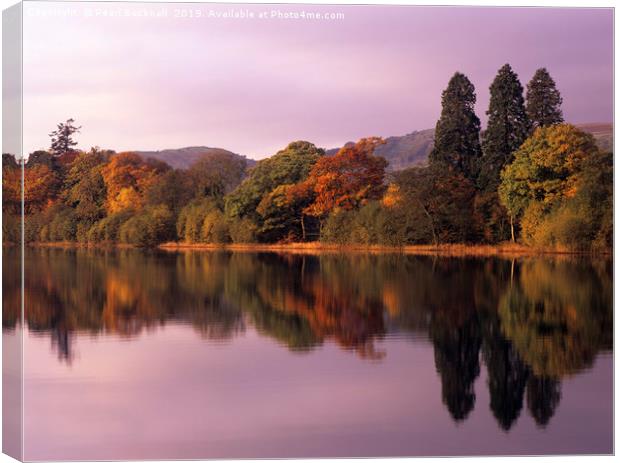 Coniston Colours Canvas Print by Pearl Bucknall