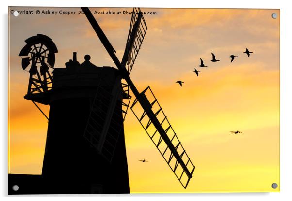 Windmill fly past. Acrylic by Ashley Cooper