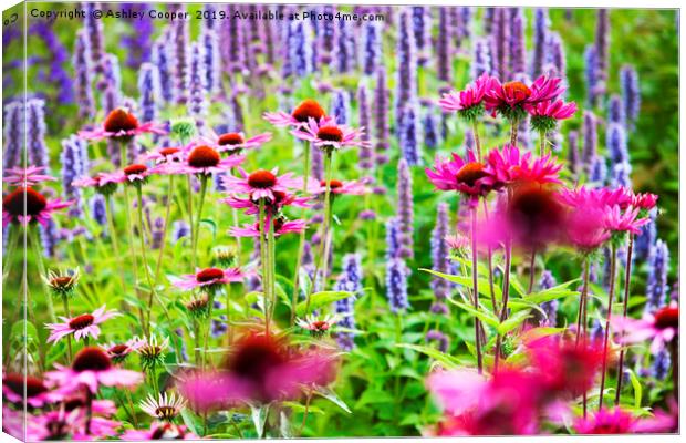 Flowerbed. Canvas Print by Ashley Cooper