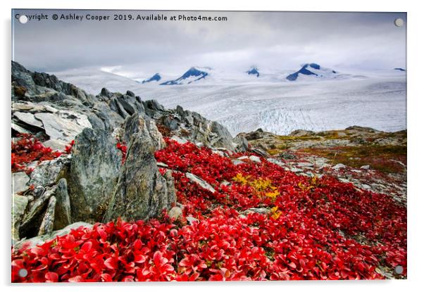 Alaska ice sheet. Acrylic by Ashley Cooper