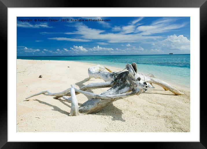 Tropical beach. Framed Mounted Print by Ashley Cooper