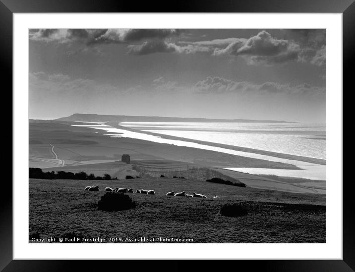 Chesil Beach, Jurassic Coast, Dorset Monochrome  Framed Mounted Print by Paul F Prestidge
